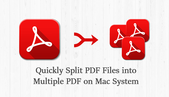 Split PDF Files into Multiple PDF
