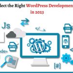WordPress Development Company